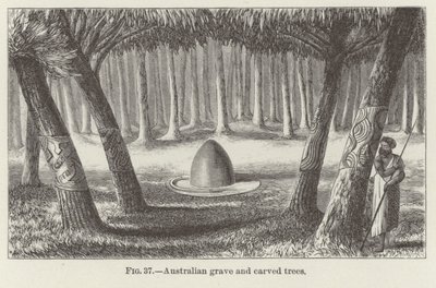 Australsk grav og udskårne træer af American School