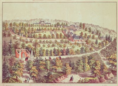 Fugleperspektiv af Mount Vernon, 1859 af American School