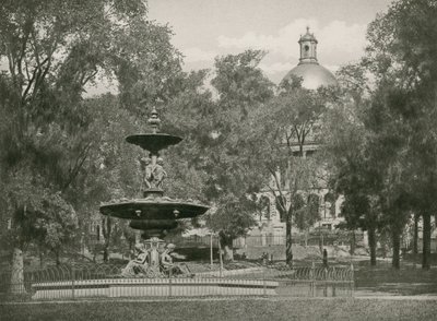 Boston Common (fotogravure) af American School