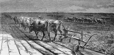 Breaking the Prairie, illustration fra 