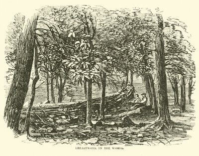 Brystarbejde i skoven, juli 1863 af American School