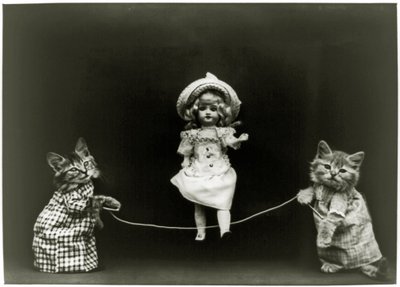 Cat curiousity, 1891 af American School