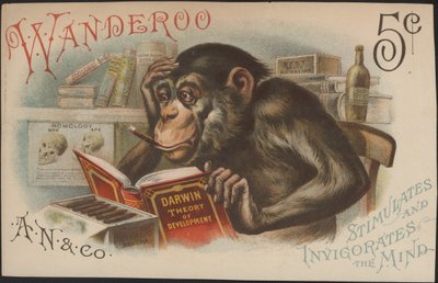 Charles Darwin, teori om udvikling (dvs. evolution) af American School