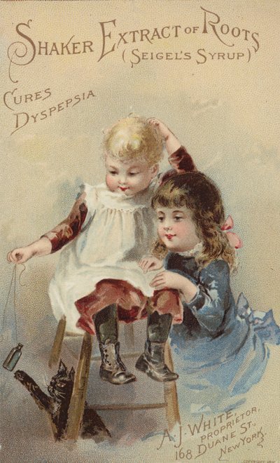 Børn driller kat af American School