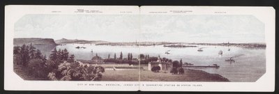 City of New-York, Brooklyn, Jersey City & Quarantine Station på Staten Island, ca. 1850 (farve litho) af American School