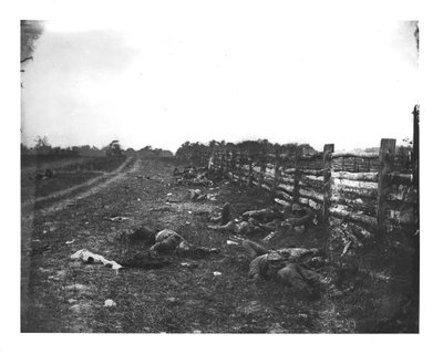 Konfødererede døde langs vestsiden af Hagerstown Pike, Slaget ved Antietam, 19. september 1862 af American School