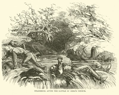 Deadbrook efter slaget ved Ezras Church, august 1864 af American School