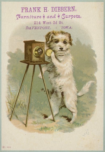 Hund med kamera af American School