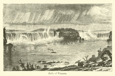 Niagara-faldene af American School