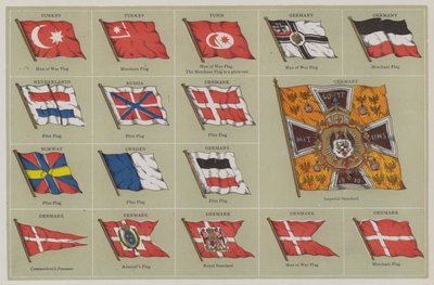 Flag af American School