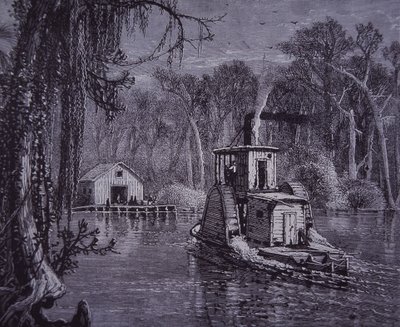 Florida Everglades scene af American School