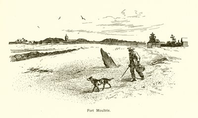 Fort Moultrie af American School