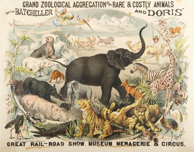 Stor zoologisk samling af sjældne og dyre dyr med Batcheller og Doris (chromolitho) af American School