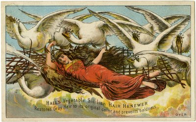 Halls Vegetable Sicilian Hair Renewer, Gendanner gråt hår til dets oprindelige farve og forebygger skaldethed, Recto (farve lito [varekort]) af American School