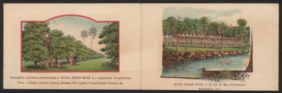 Hotel Trade Card (farvet gravering) af American School