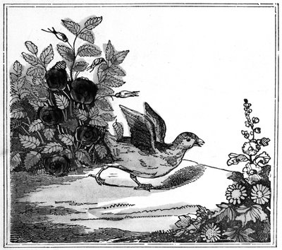 Illustration fra den bemærkelsesværdige historie om Chicken Little, 1840 af American School