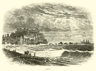 Jaffa af American School