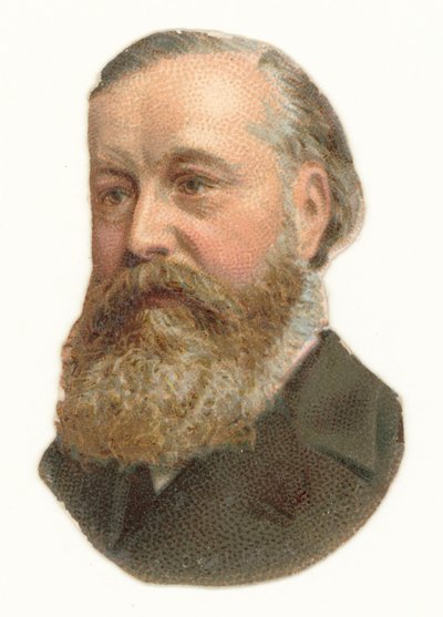James Abram Garfield af American School