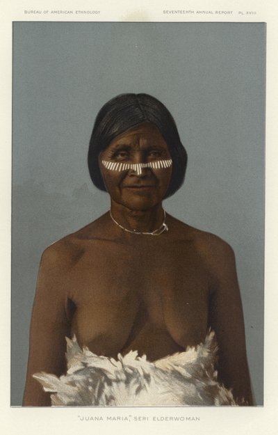 Juana Maria, Elderwoman-serien af American School