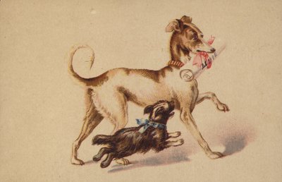 Stor og lille hund der løber af American School
