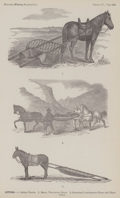 Kuld (gravering) af American School