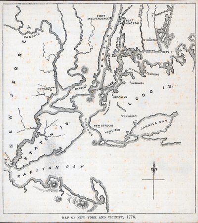 Kort over New York og omegn (litho) af American School