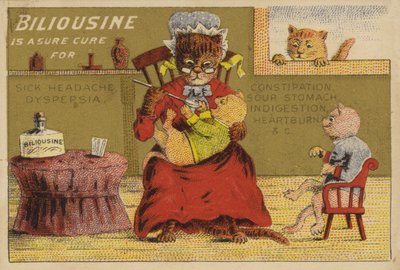 Medicintid for kattene af American School