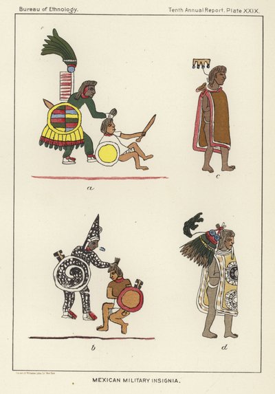 Mexicanske militære insignier af American School