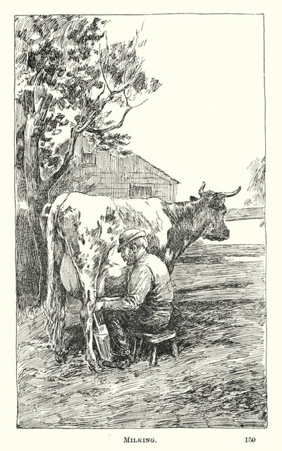 Malkning (gravering) af American School