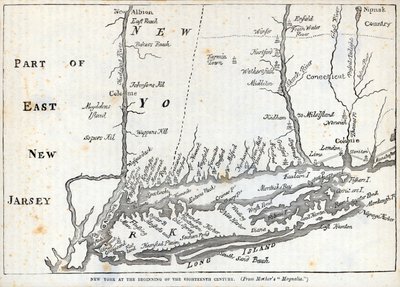 New York i begyndelsen af det attende århundrede (litho) af American School