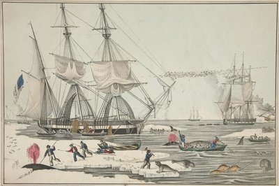 North Sea Whale Fishery, pub. 1860 (farve litho) af American School