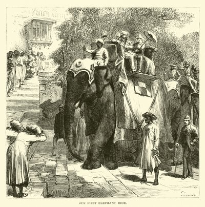 Vores første tur på elefant af American School