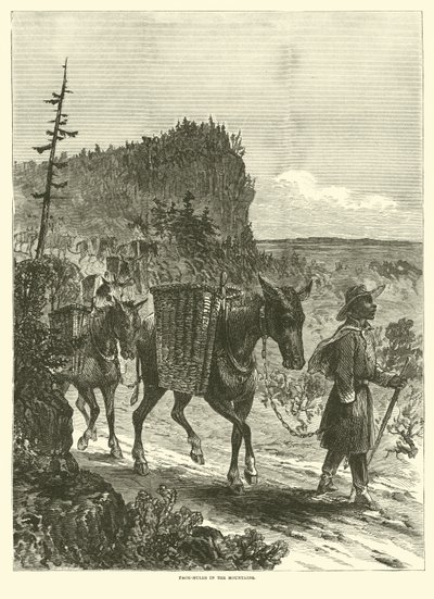 Pak-muldyr i bjergene, februar 1863 af American School