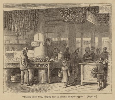 "Passerer under lange, hængende rækker af bananer og pinjeæbler" (gravering) af American School