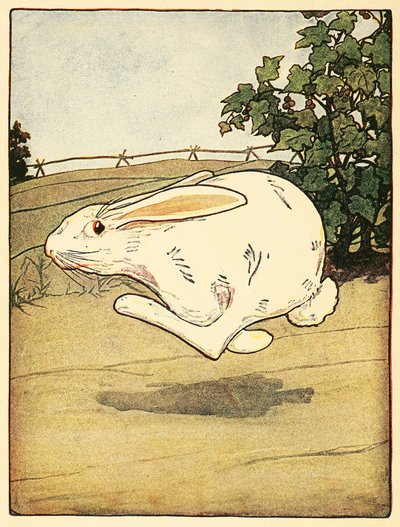 Peter holdt aldrig op med at løbe, fra The Tale of Peter Rabbit, pub. 1916 farvelitografi, 1916. af American School