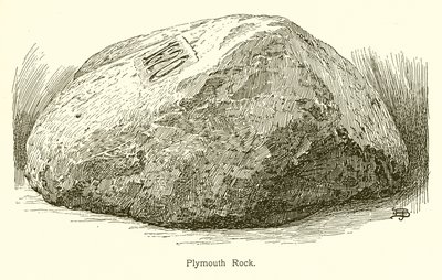 Plymouth Rock af American School