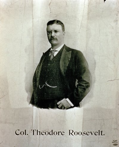 Portræt af oberst Theodore Roosevelt af American School
