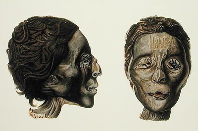 Profil og ansigt af en kvindelig mumie fra Gizeh, bind II, plade XXVII fra 