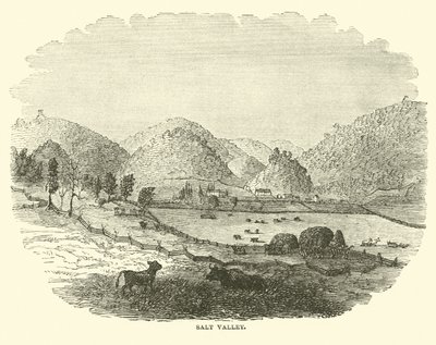 Saltdalen, december 1864 af American School