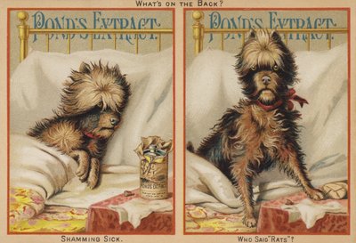 Syg hund i seng af American School