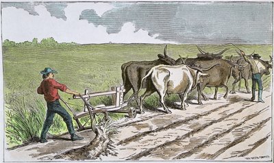 Sodbusters of the American West, ca. 1880 (farvet gravering) af American School