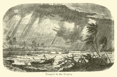 Storm i troperne af American School