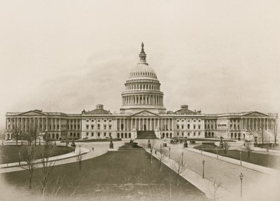 The Capitol, Washington (fotogravure) af American School