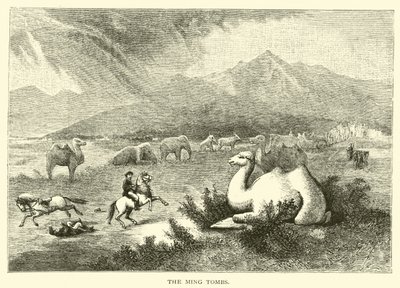 Ming-gravene af American School