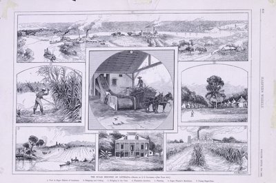 Sukkerindustrien i Louisiana af American School