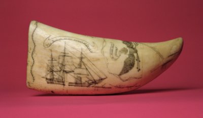 Susan på kysten af Japan Scrimshaw (tand) af American School