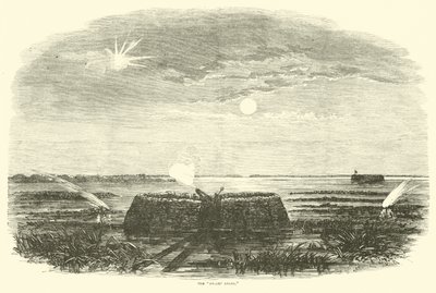 Sumpengel, august 1863 af American School