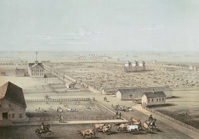 Union Stockyards, Chicago af American School