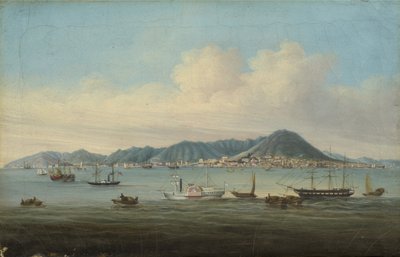 Udsigt over Hong Kong, 1850 af American School