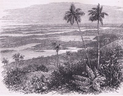 Udsigt over Bermudaerne, illustration fra Cassell